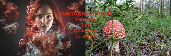 мяу мяу кристалл Богданович